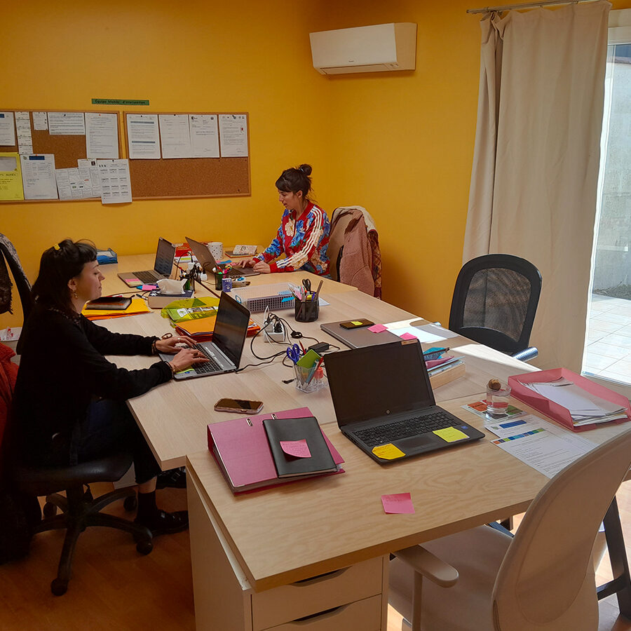 Equipe-Mobile-Intervention-Departementale-pour-Adultes-avec-Autisme