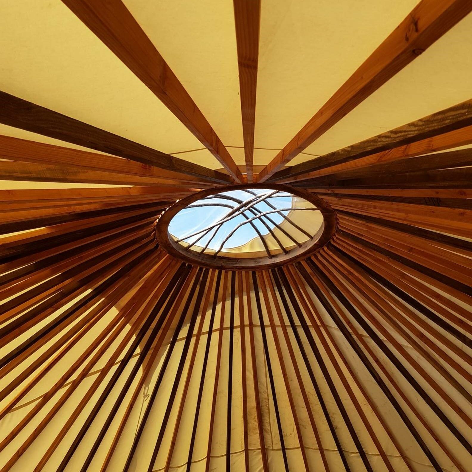 Inclusion sociale, culturelle, artistique et sportive